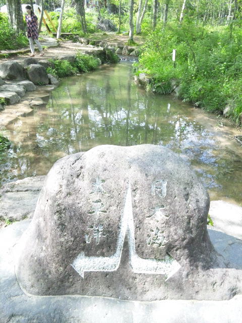 ひるがの分水嶺公園のレポート写真3（める）