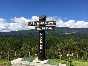 ひるがの高原サービスエリア(下り)のレポート写真3（マロン）
