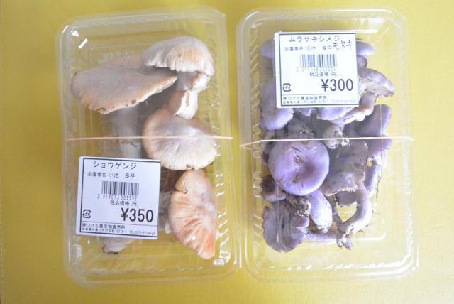 道の駅 花街道付知のレポート写真3（レッツなシニア）