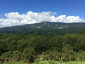 ひるがの高原サービスエリア(下り)のレポート写真4（マロン）