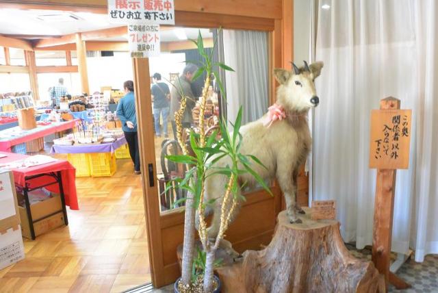 道の駅 花街道付知のレポート写真5（レッツなシニア）