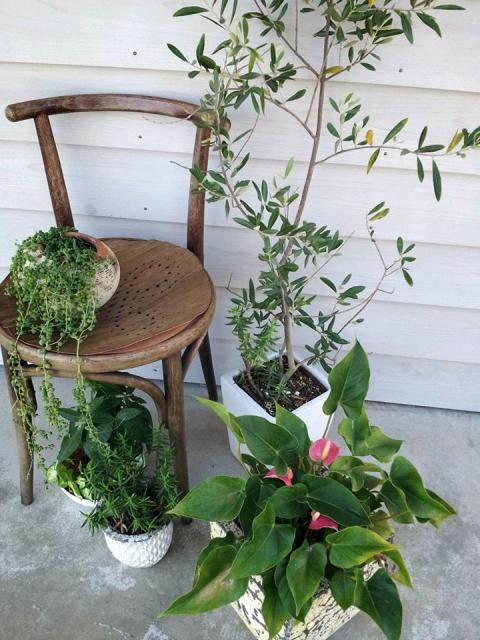 neshian 山のアトリエへのにしこさんのレビュー写真