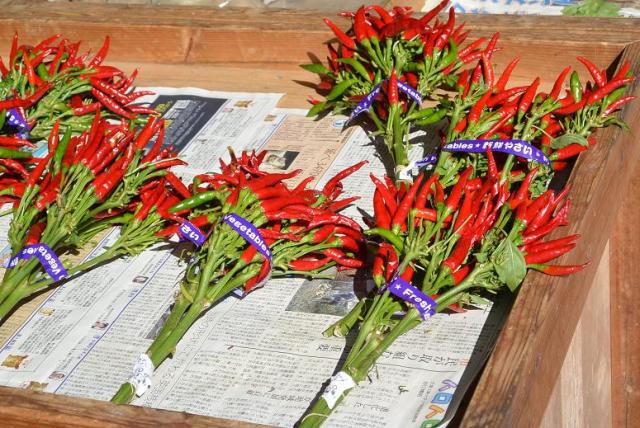 道の駅 飛騨古川いぶしへのレッツなシニアさんのレビュー写真