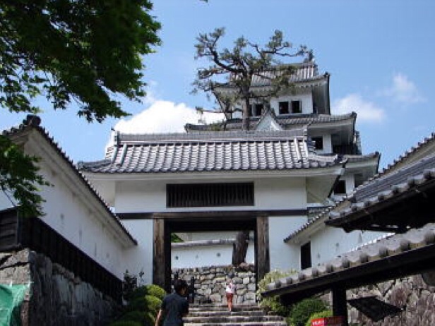 郡上八幡城へのmelimeroさんのレビュー写真