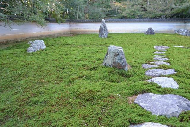 真長寺へのレッツなシニアさんのレビュー写真