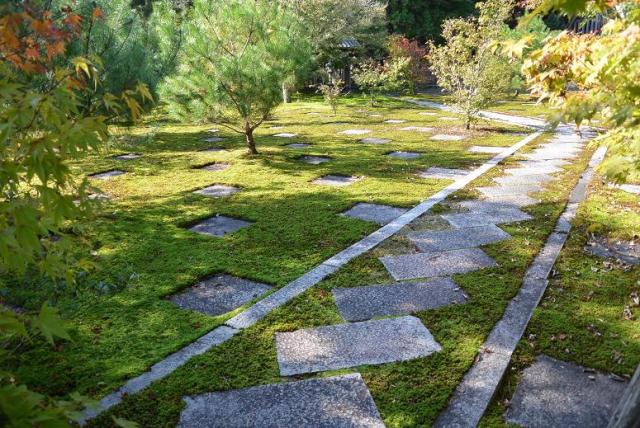 大智寺へのレッツなシニアさんのレビュー写真