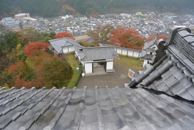 郡上八幡城へのレッツなシニアさんのレビュー写真