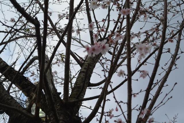 弓削寺へのレッツなシニアさんのレビュー写真