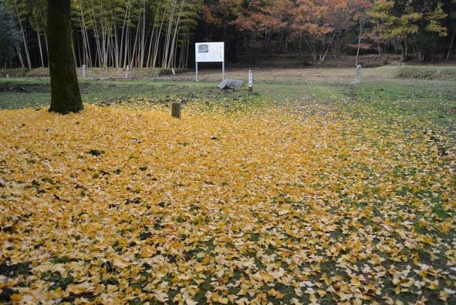 弥勒寺へのレッツなシニアさんのレビュー写真