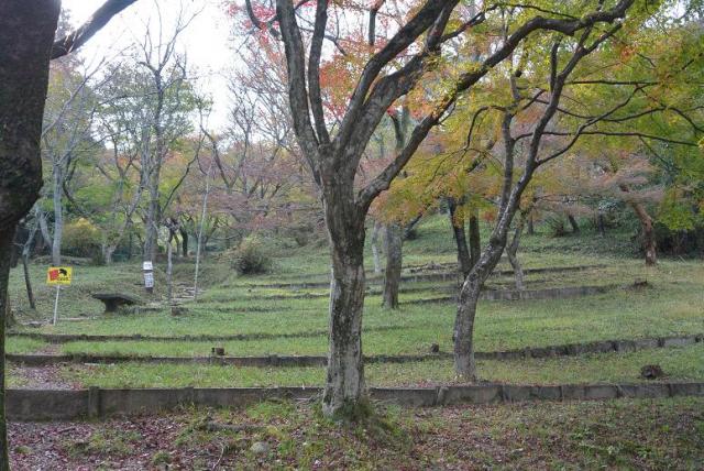 霞間ヶ渓公園へのレッツなシニアさんのレビュー写真