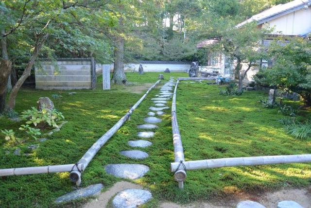 真長寺へのレッツなシニアさんのレビュー写真