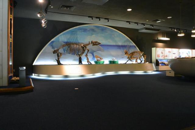 瑞浪市化石博物館へのレッツなシニアさんのレビュー写真