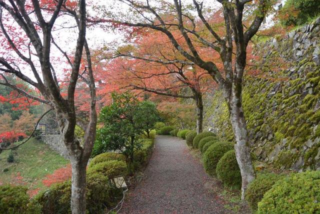 郡上八幡城へのレッツなシニアさんのレビュー写真