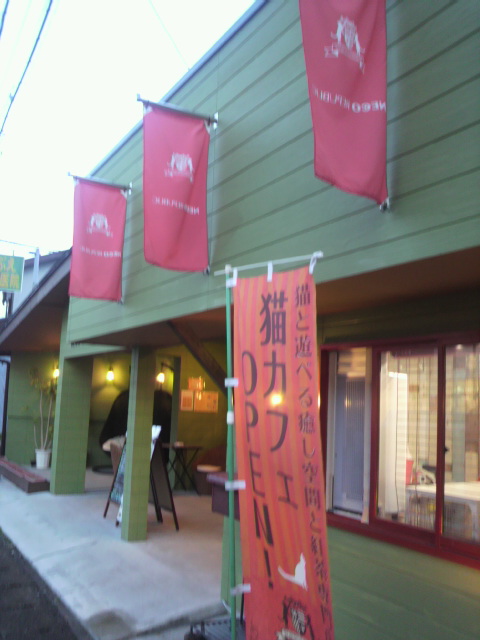 NECO REPUBLICへのポニョさんのレビュー写真