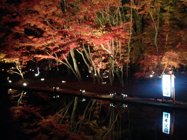 曽木公園のレポート写真1（★☆ちぇぶ☆★）