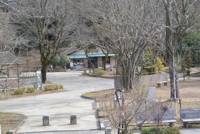 岐阜公園のレポート写真4（レッツなシニア）