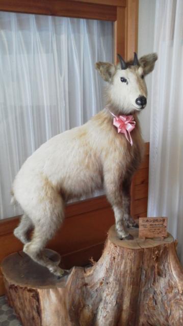 道の駅 花街道付知のレポート写真2（瀬戸の人）