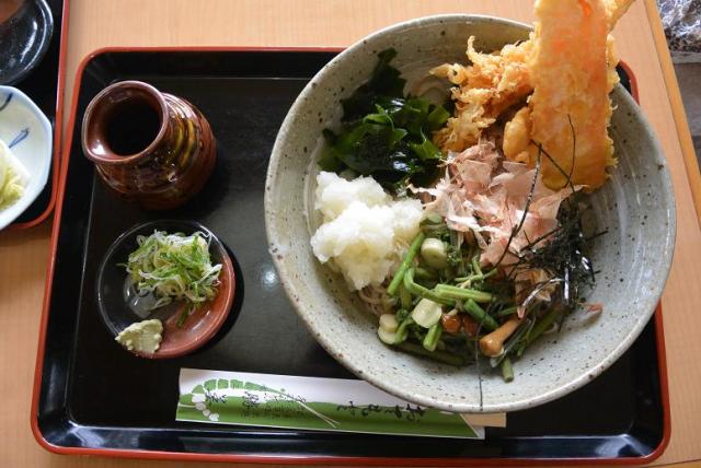 お食事処 勝美へのレッツなシニアさんのレビュー写真