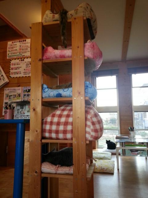 Cafe' ねこちぐらへのレッツなシニアさんのレビュー写真
