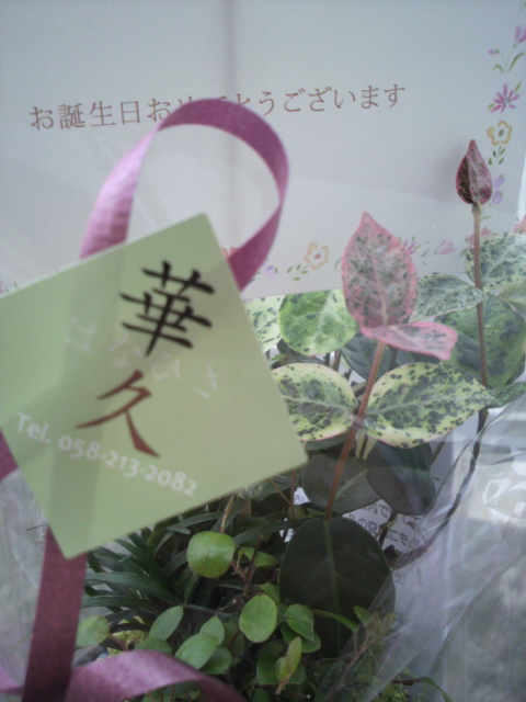 華久へのポニョさんのレビュー写真