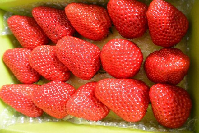 産直販売 いちご畑へのレッツなシニアさんのレビュー写真