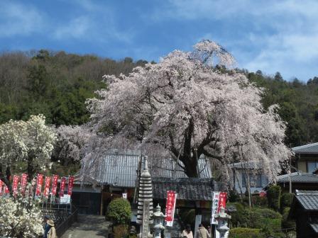 林陽寺へのジェミニさんのレビュー写真