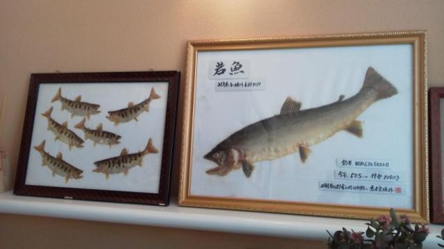 南飛騨馬瀬川温泉 美輝の里への瀬戸の人さんのレビュー写真