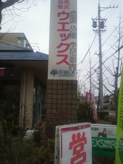 ウエックスへのポニョさんのレビュー写真