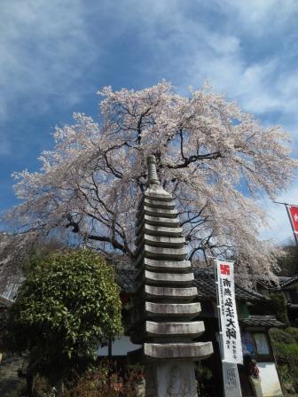 林陽寺へのジェミニさんのレビュー写真