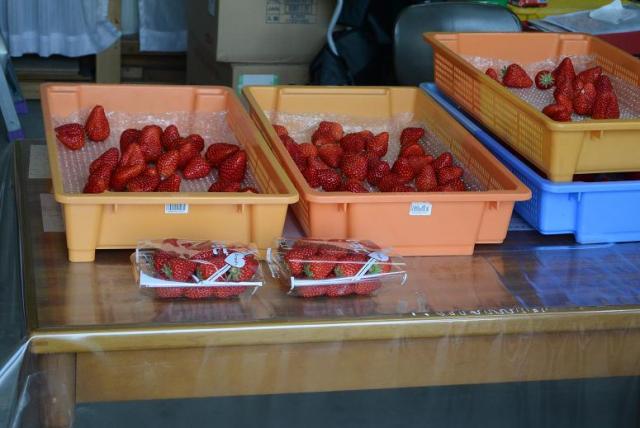 産直販売 いちご畑へのレッツなシニアさんのレビュー写真