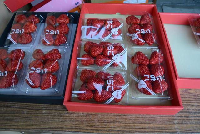 産直販売 いちご畑へのレッツなシニアさんのレビュー写真