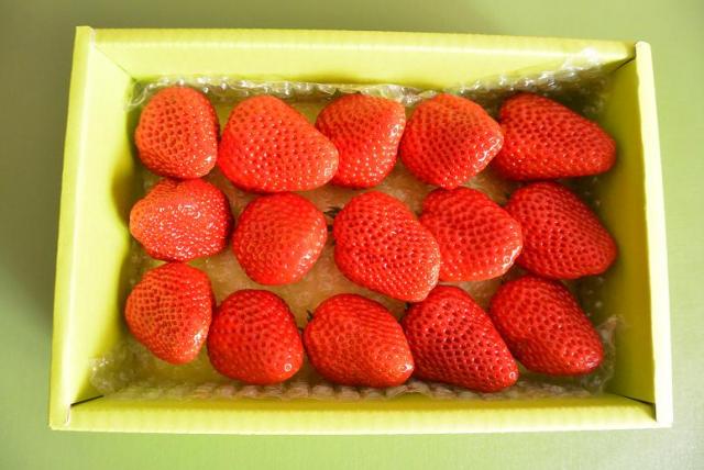 産直販売 いちご畑へのレッツなシニアさんのレビュー写真