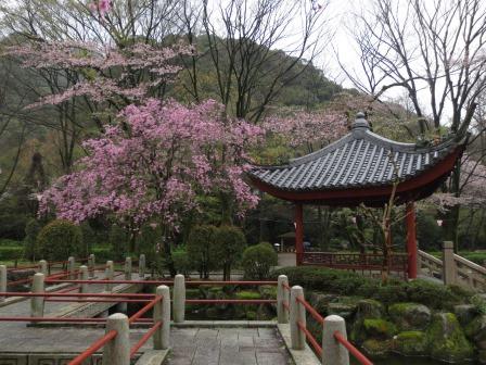 日中友好庭園へのジェミニさんのレビュー写真