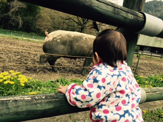 岐阜市畜産センター公園へのレッツなミドルさんのレビュー写真