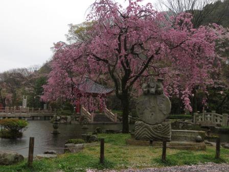 日中友好庭園へのジェミニさんのレビュー写真