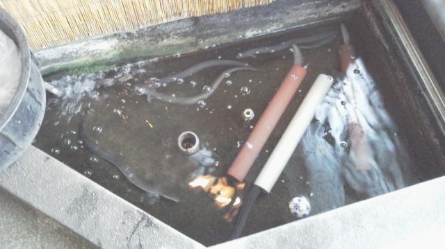 炉端焼き・うなぎ こばやしへの瀬戸の人さんのレビュー写真