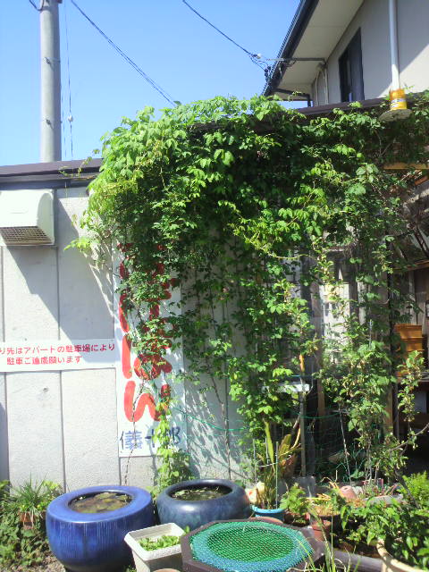 あげぱん屋   義十郎へのポニョさんのレビュー写真