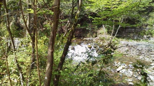 山小屋カフェ 山なんやへの瀬戸の人さんのレビュー写真