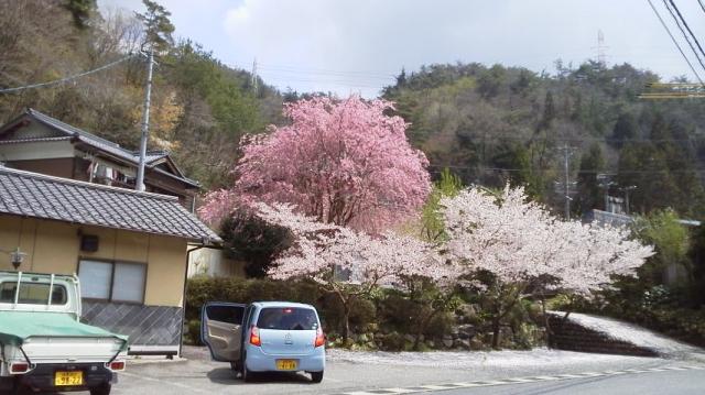 季節料理 城山庵への瀬戸の人さんのレビュー写真
