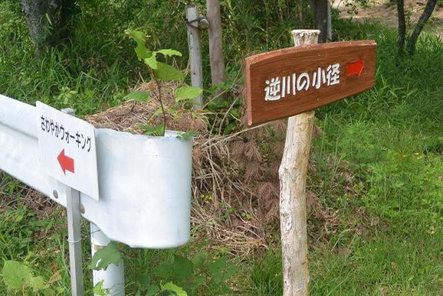 竜吟の森・竜吟湖へのレッツなシニアさんのレビュー写真