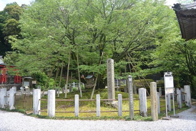 願成寺へのレッツなシニアさんのレビュー写真