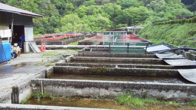 あまご亭への瀬戸の人さんのレビュー写真