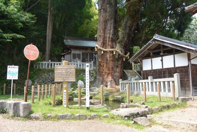 中山道 大湫宿へのレッツなシニアさんのレビュー写真