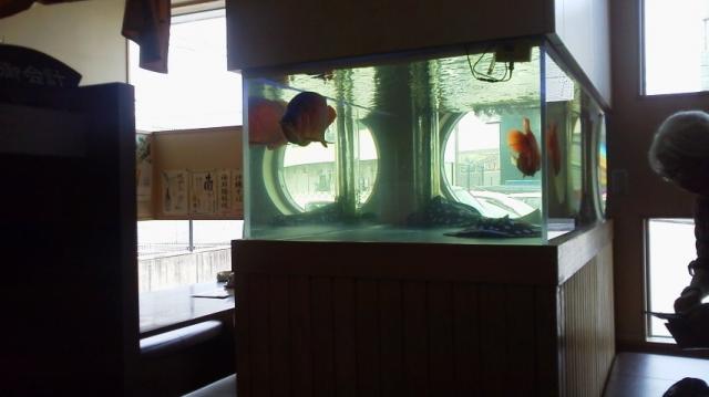 鮨処 やすしへの瀬戸の人さんのレビュー写真