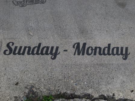Sunday_Mondayのレポート写真2（ジェミニ）