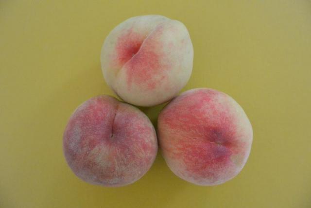 マルシメ農園直売所へのレッツなシニアさんのレビュー写真