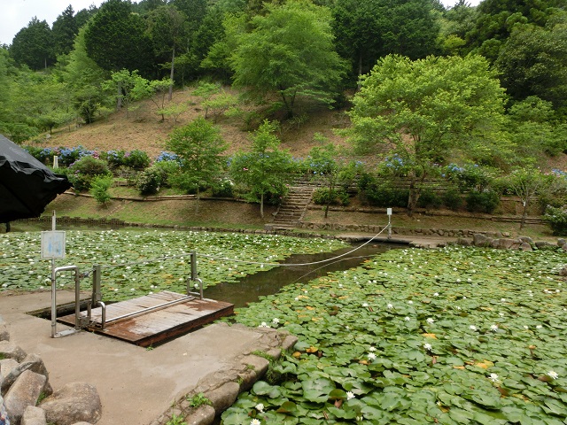 みのかも健康の森へのレッツなミドルさんのレビュー写真