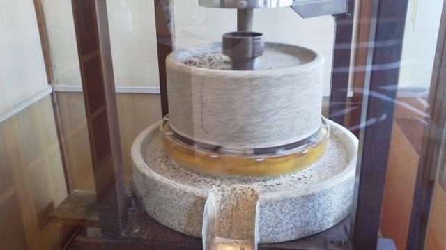 サガミ 土岐店への瀬戸の人さんのレビュー写真