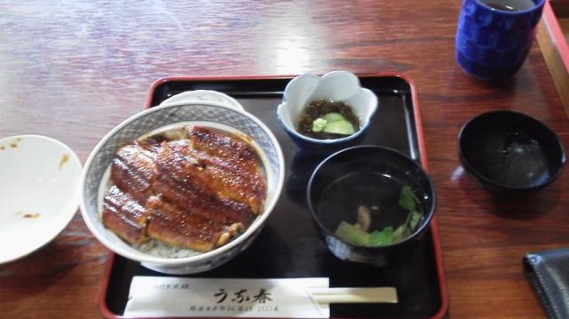 うな春への瀬戸の人さんのレビュー写真