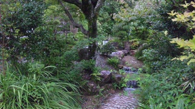 山茶林泉のレポート写真1（レッツなシニア）